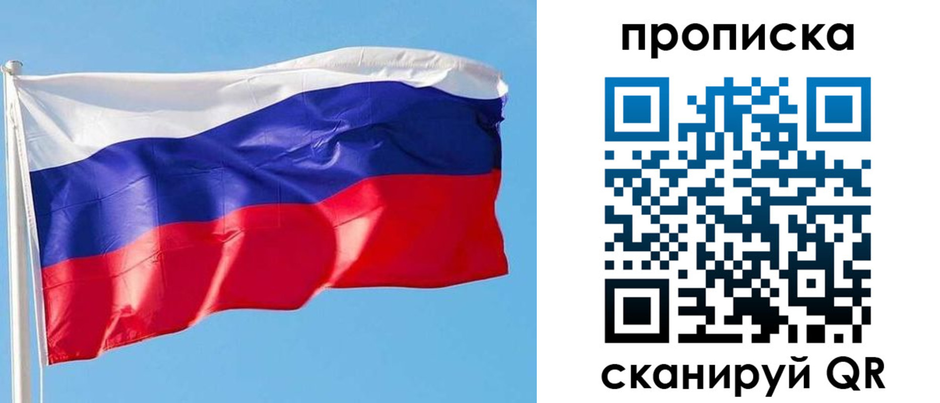 прописка поиск в Брянской области